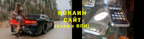 гидра Няндома