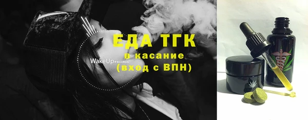 гидра Няндома