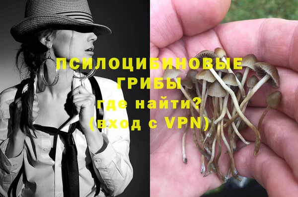 гидра Няндома