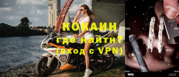 гидра Няндома