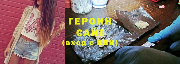 гидра Няндома