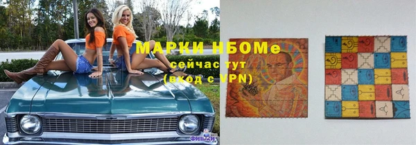 гидра Няндома