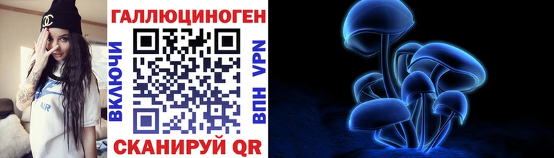 Купить где  Короча  Псилоцибиновые грибы мухоморы 